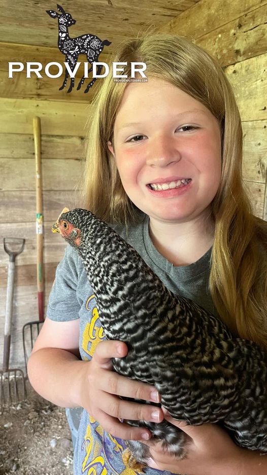 Chicken And The Egg! - Provider Outdoors